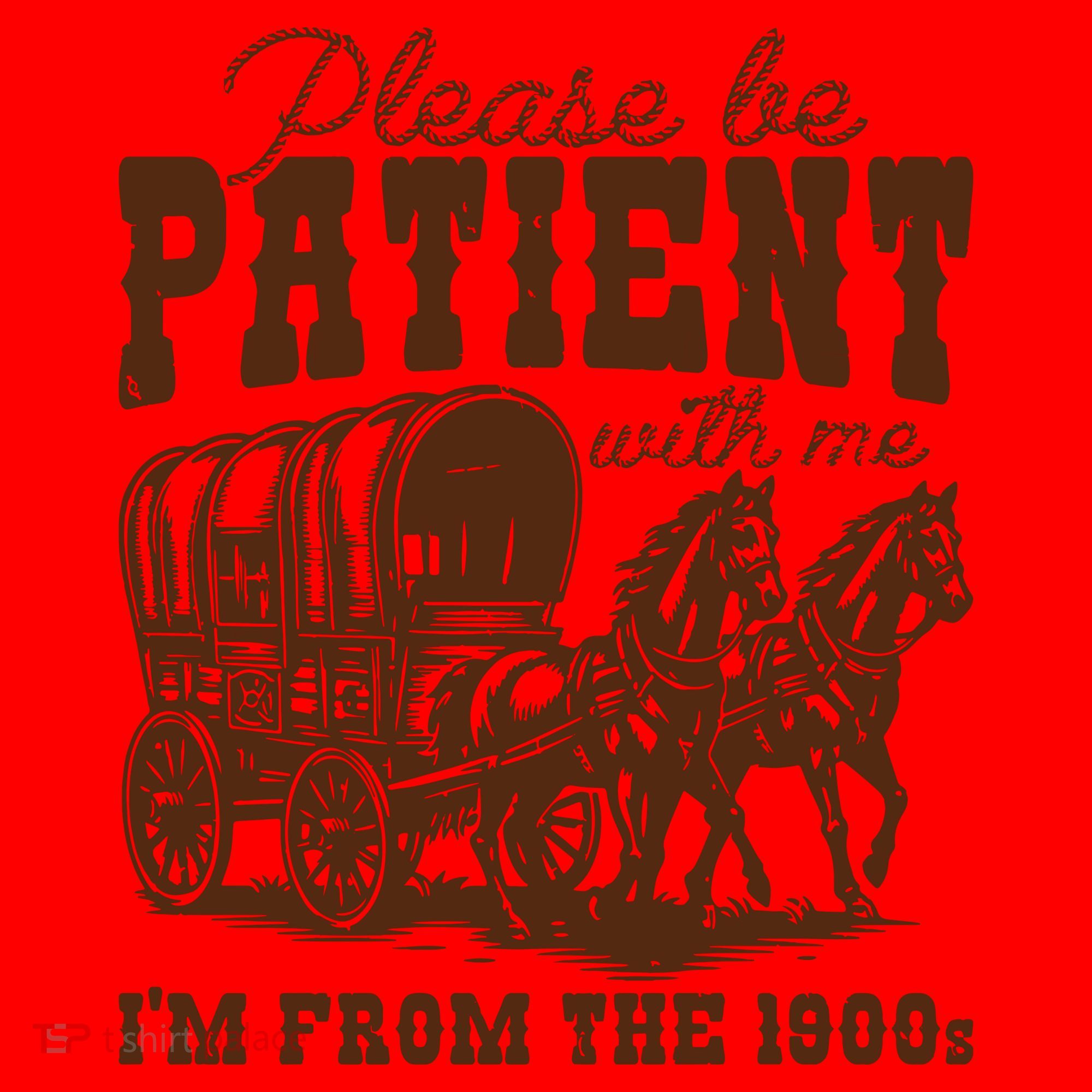 Please Be Patient With Me IM From The 1900s Santa Hat