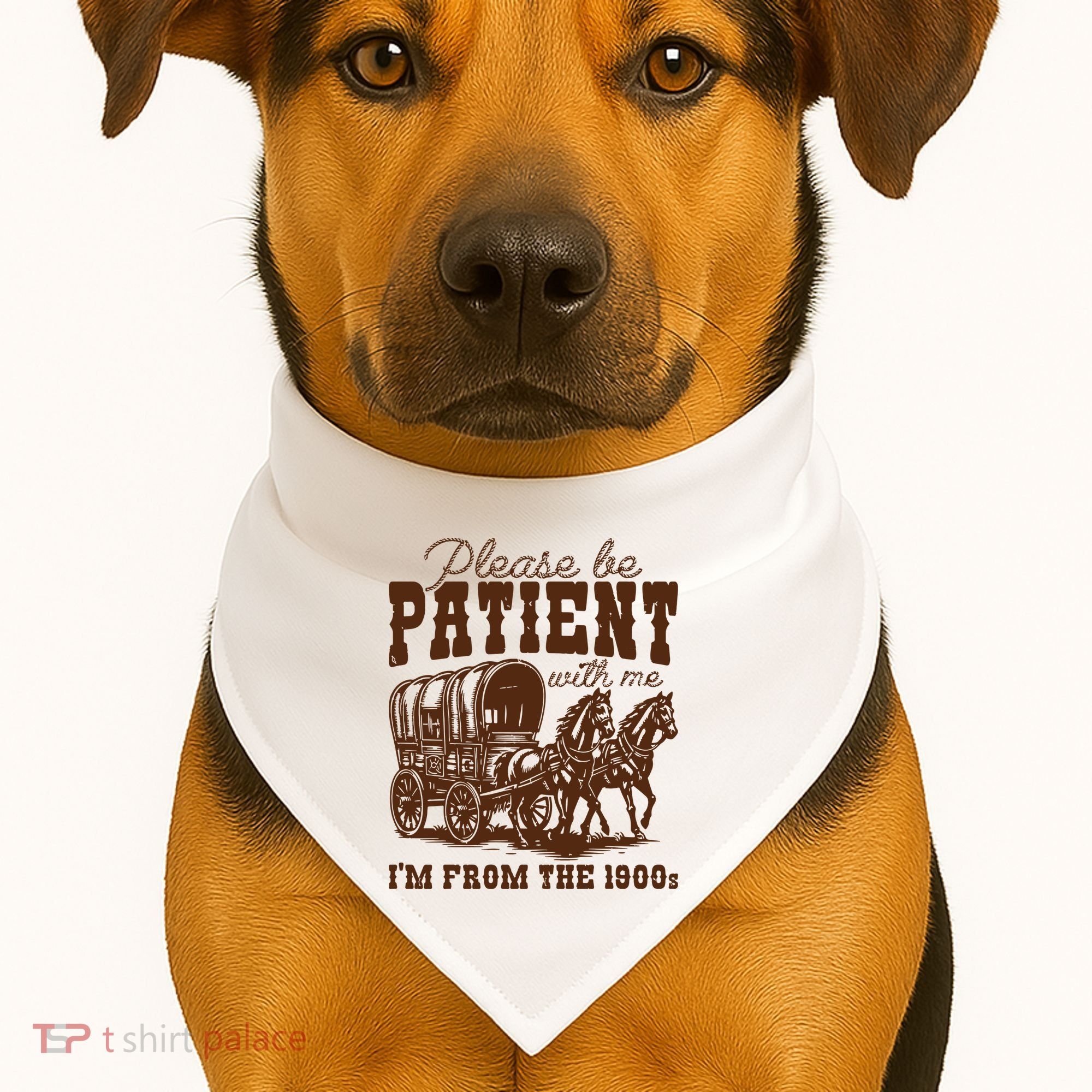 Please Be Patient With Me IM From The 1900s USA-Made Doggie Bandana