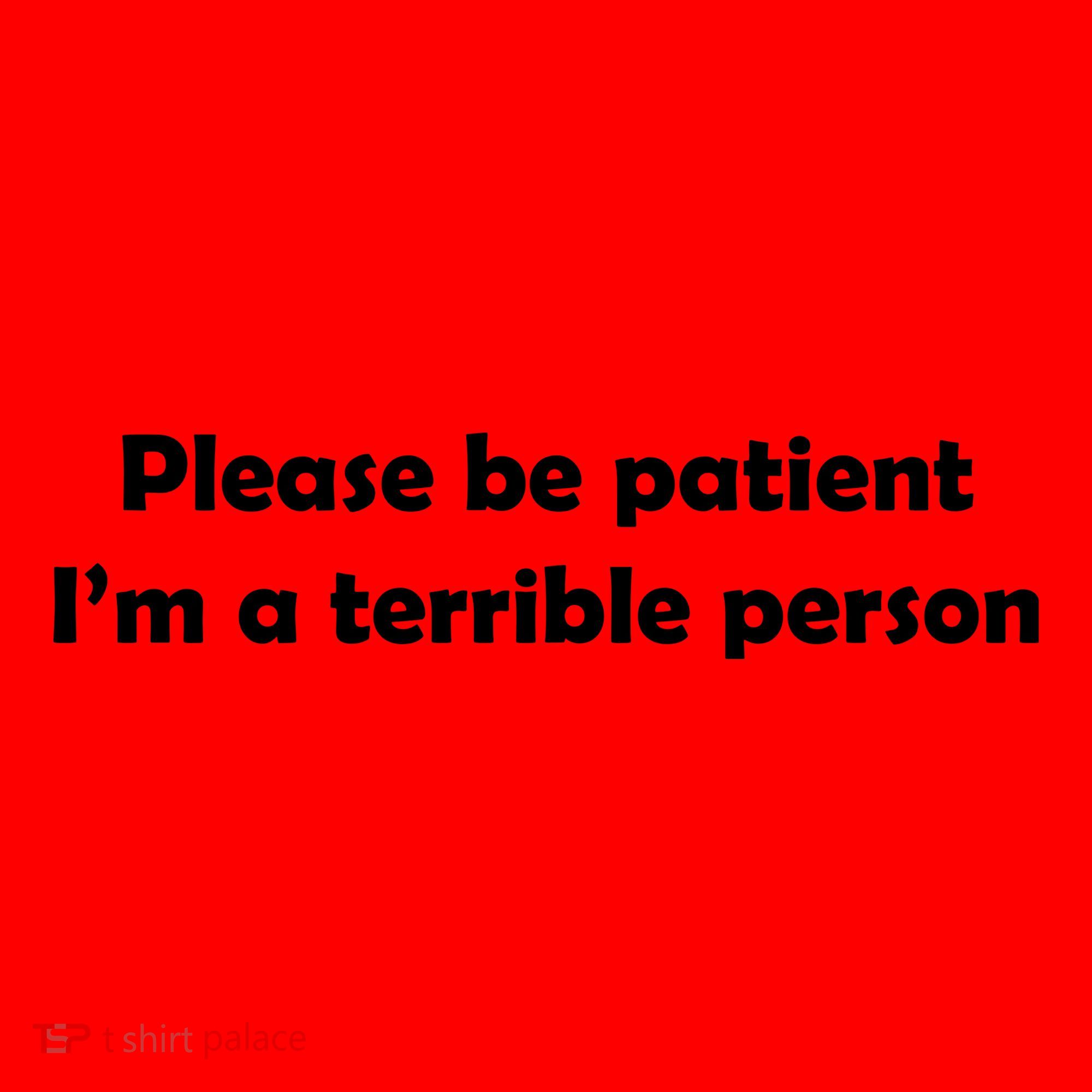 Please Be Patient I'm A Terrible Person Funny Santa Hat