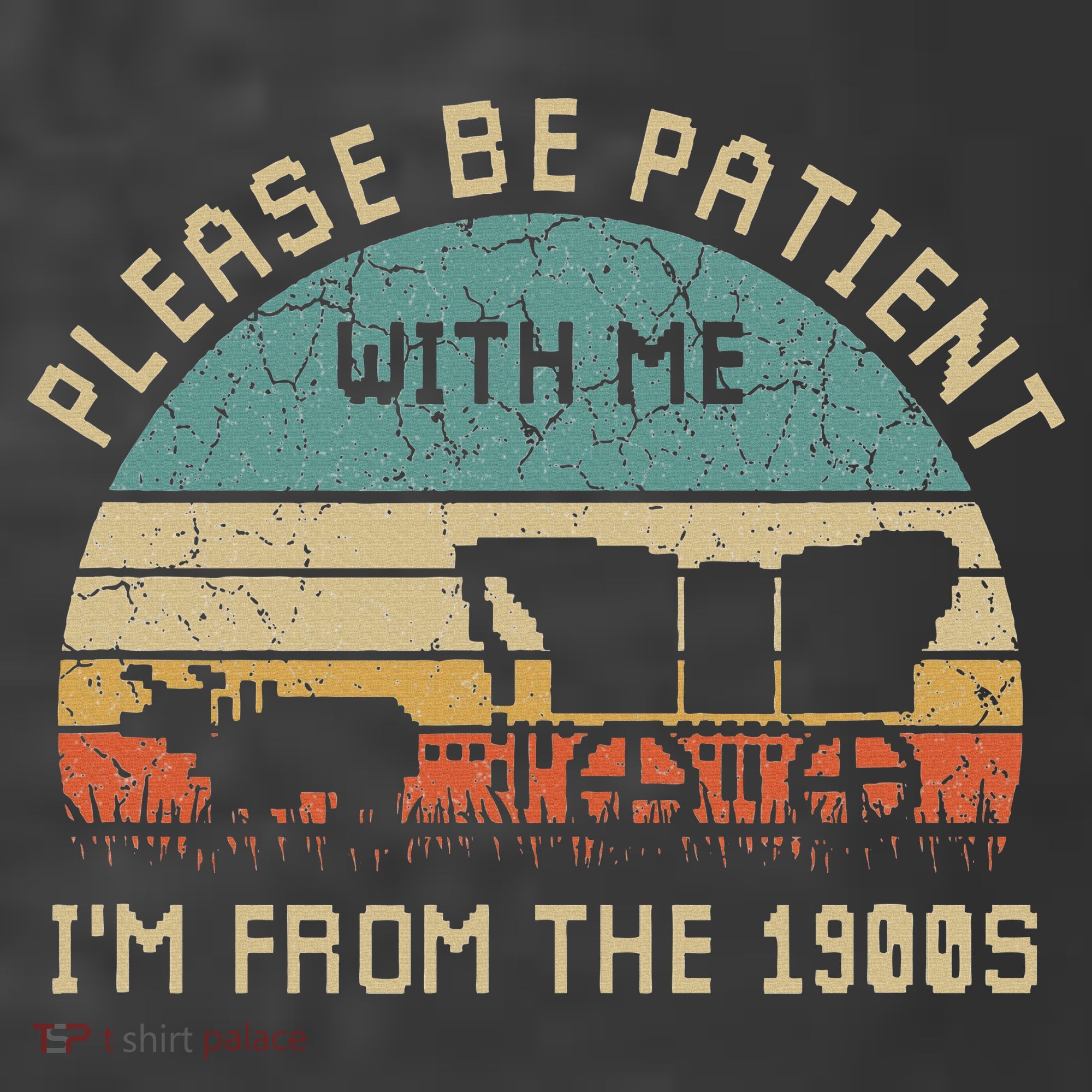 Please Be Patient With Me IM From The 1900s Vintage T-Shirt