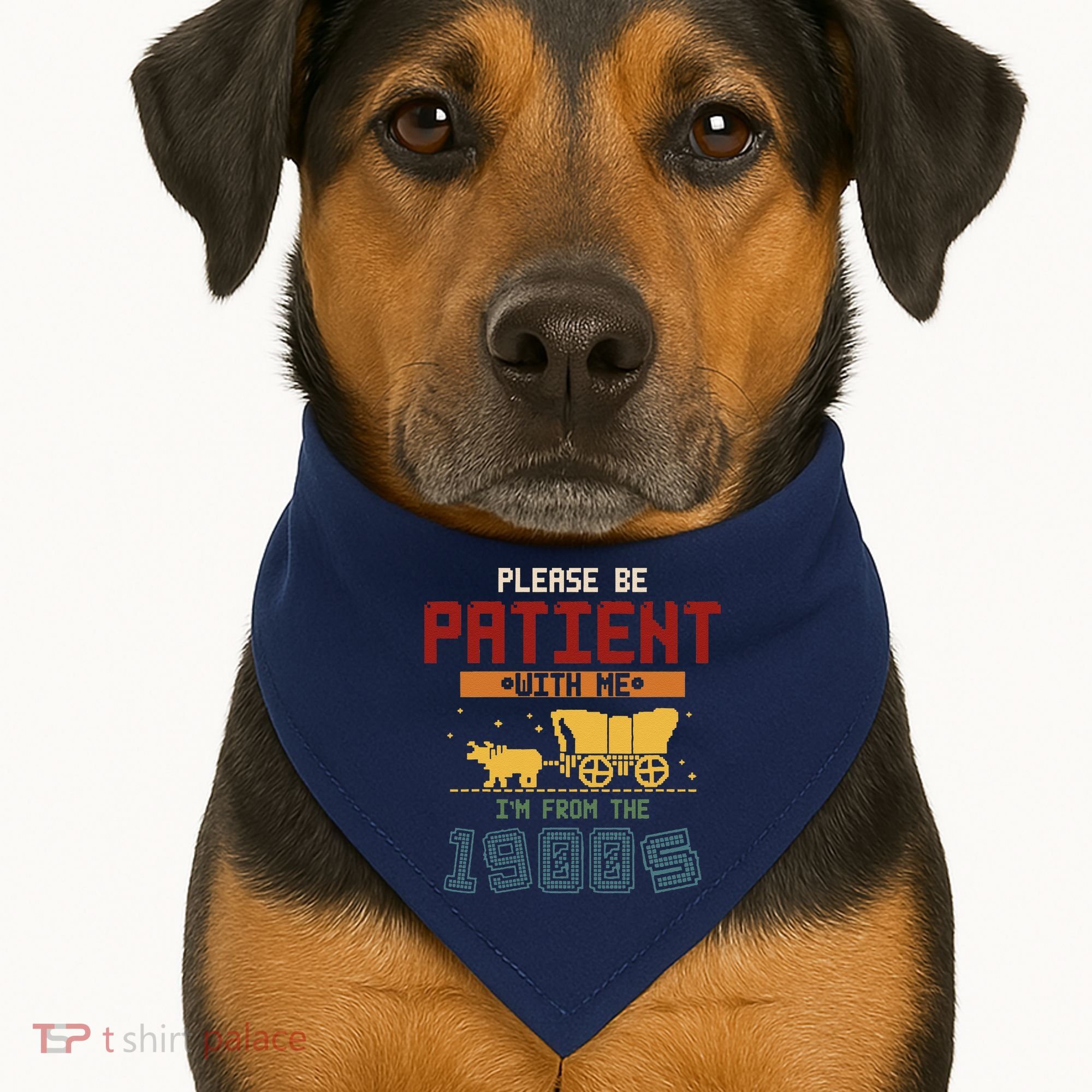 Please Be Patient I Was Born In The 1900s USA-Made Doggie Bandana
