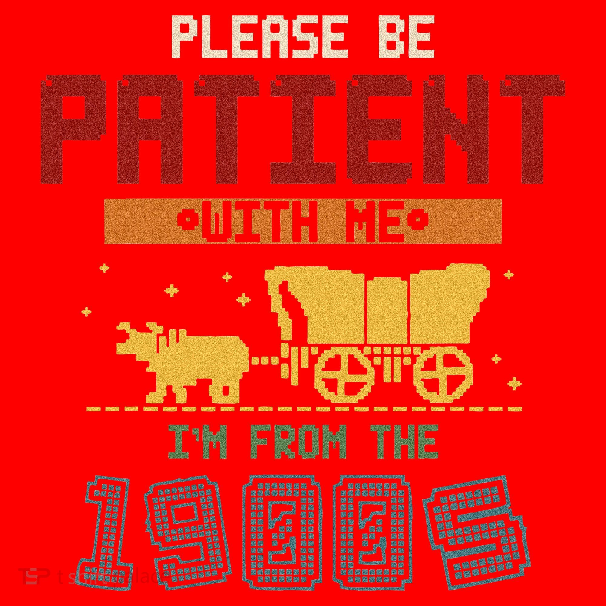 Please Be Patient I Was Born In The 1900s Santa Hat