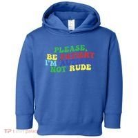 Please Be Patient IM Autistic Not Rude Great Gift Toddler Hoodie thumb 0