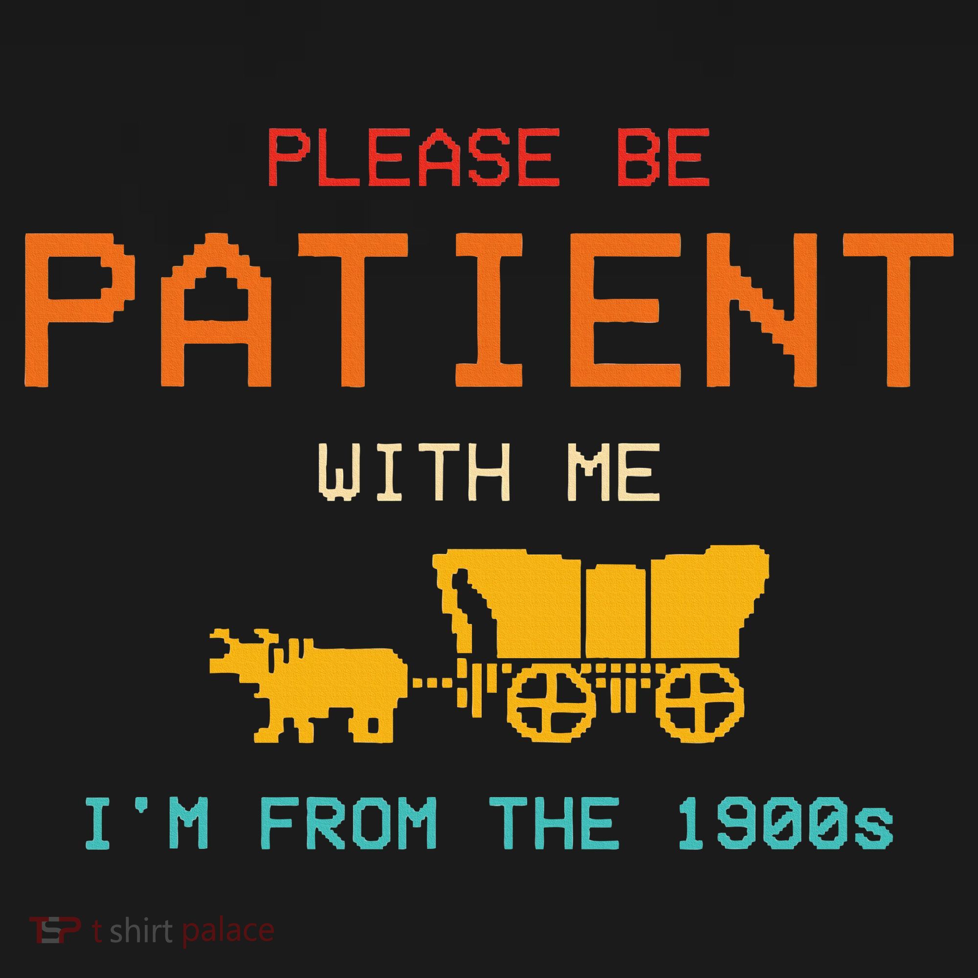 Please Be Patient With Me IM From The 1900s Vintage T-Shirt