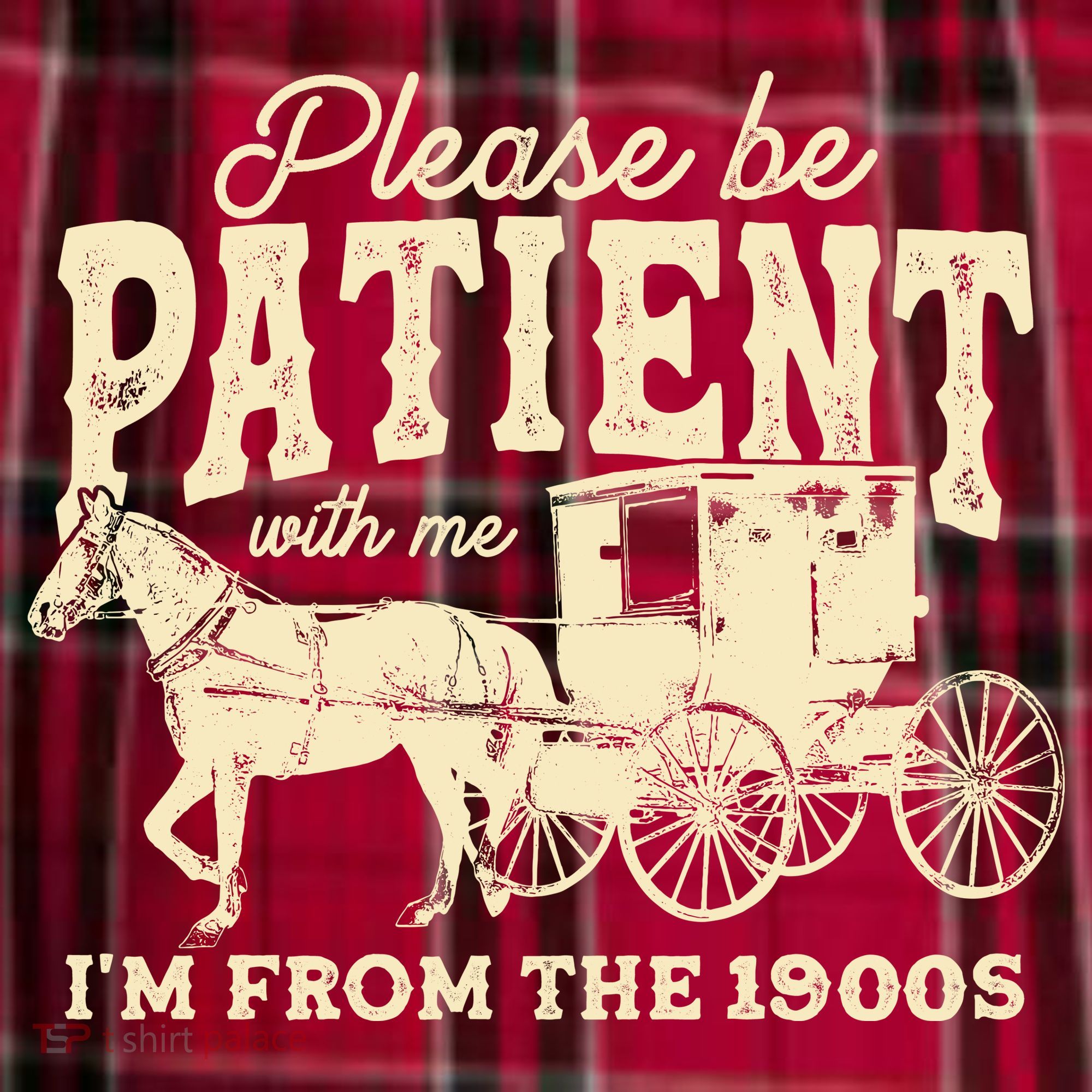 Please Be Patient With Me Im From The 1900s Women's Flannel Plaid Pajama Pants