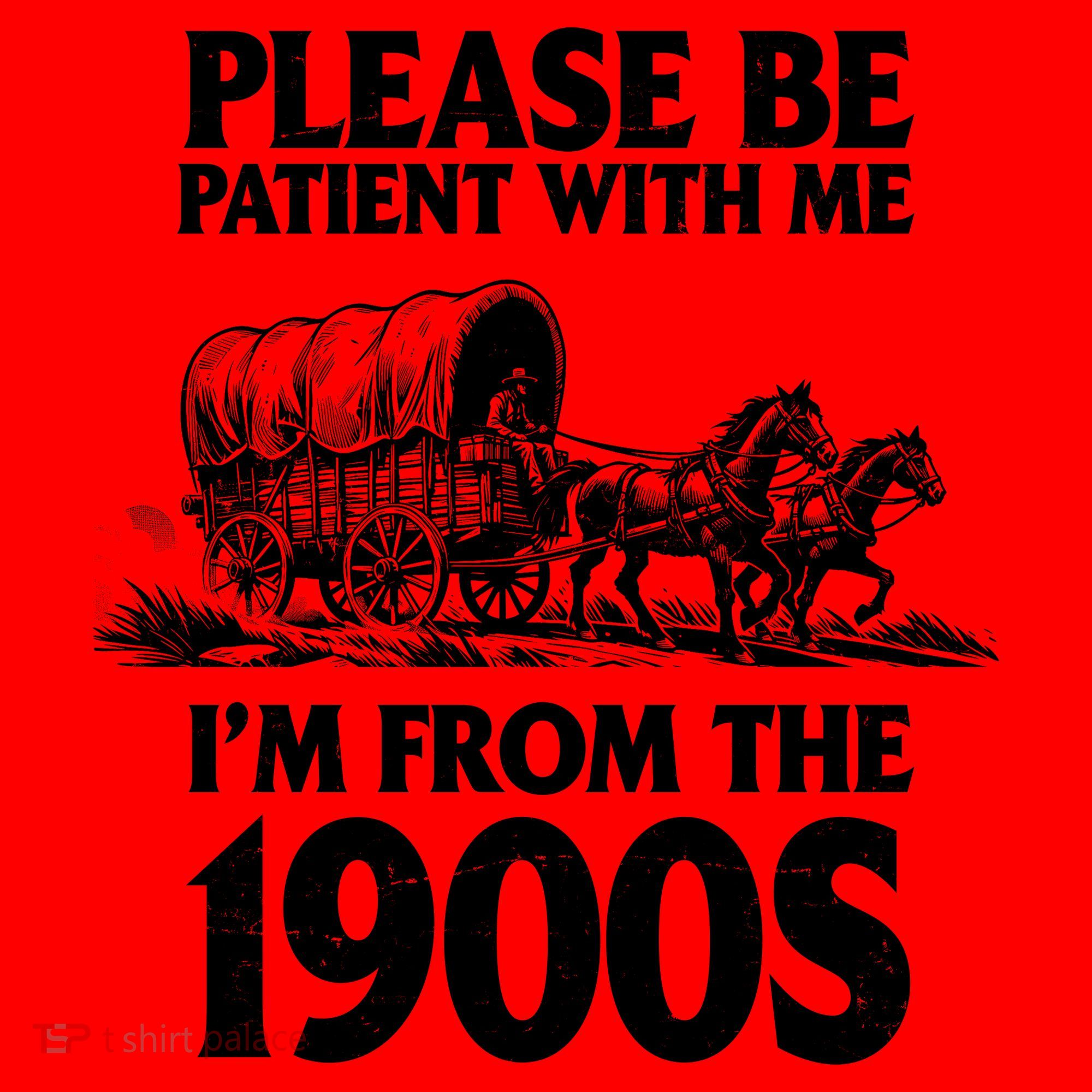 Please Be Patient With Me I'm From 1900s Santa Hat