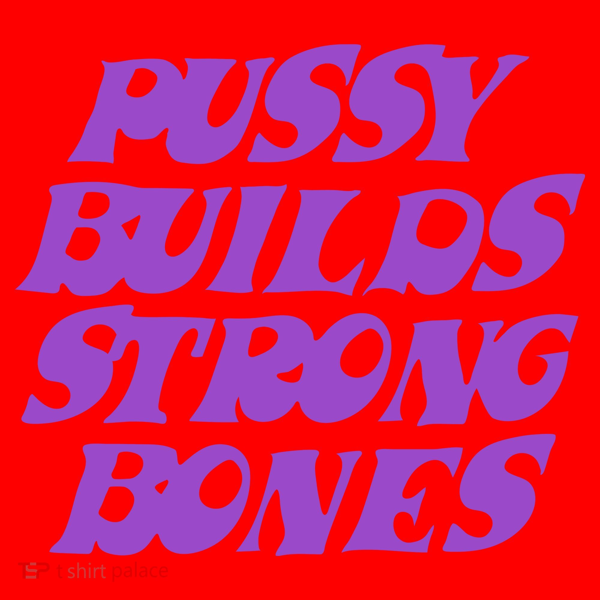 Pussy Builds Strong Bones Santa Hat