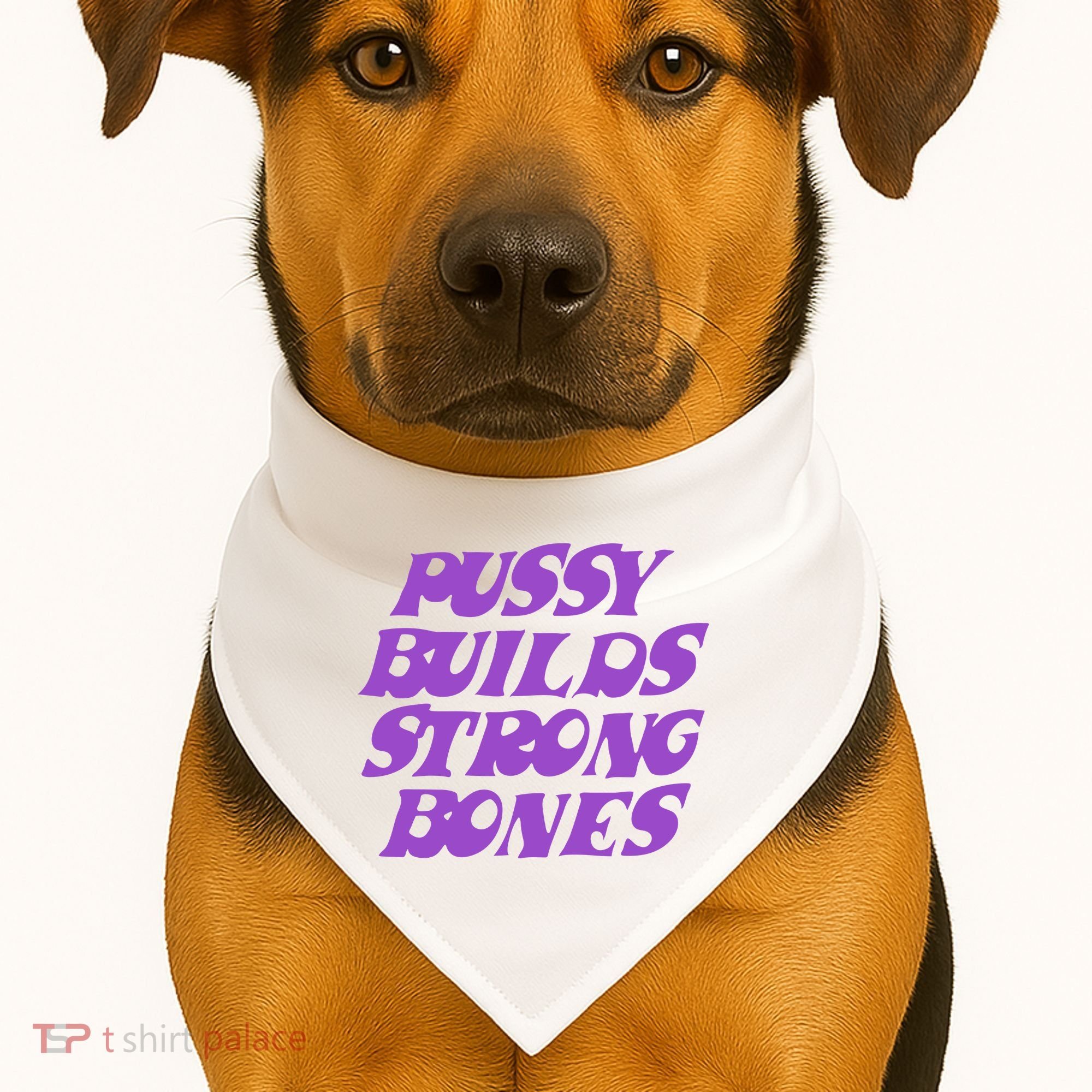 Pussy Builds Strong Bones USA-Made Doggie Bandana