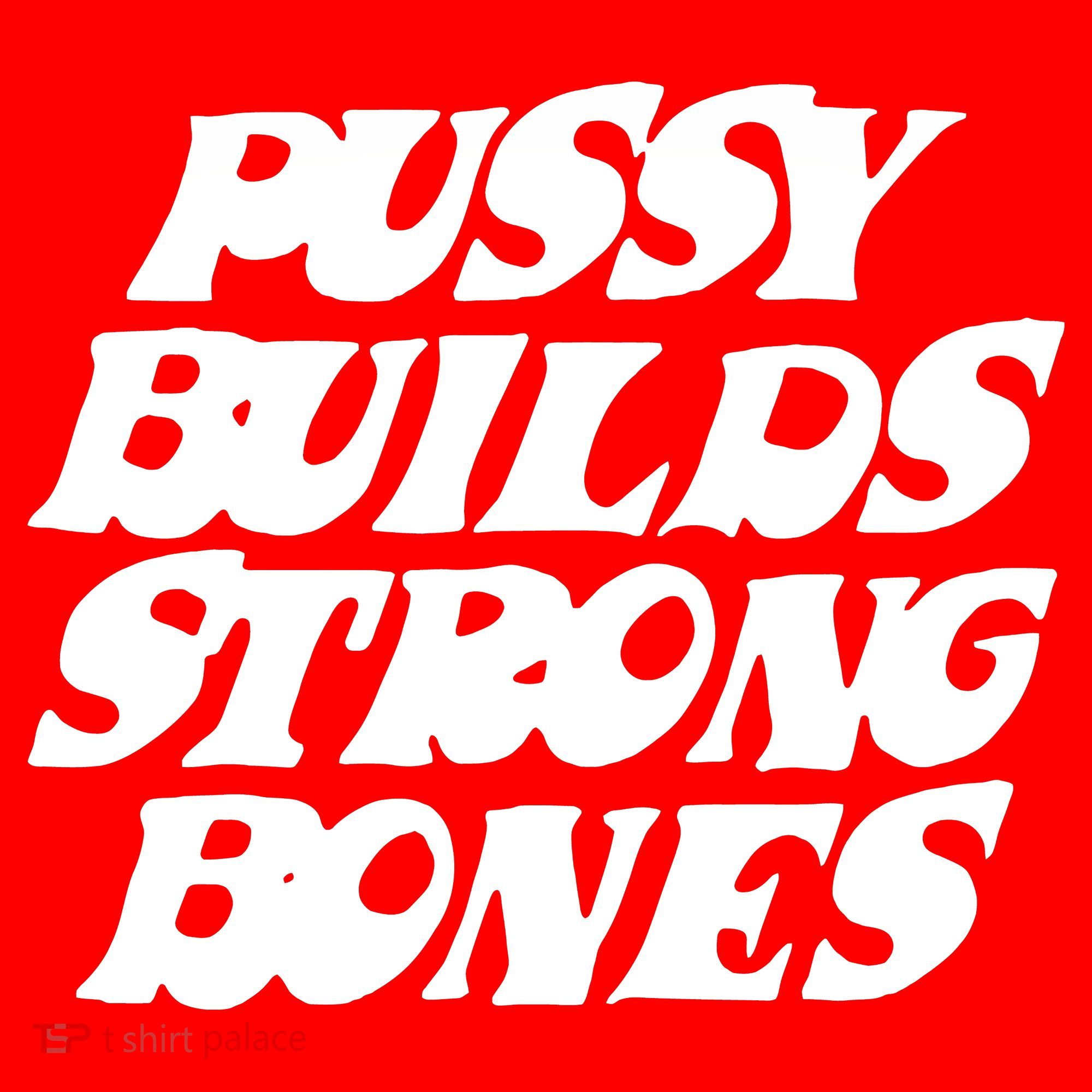 Pussy Builds Strong Bones Santa Hat
