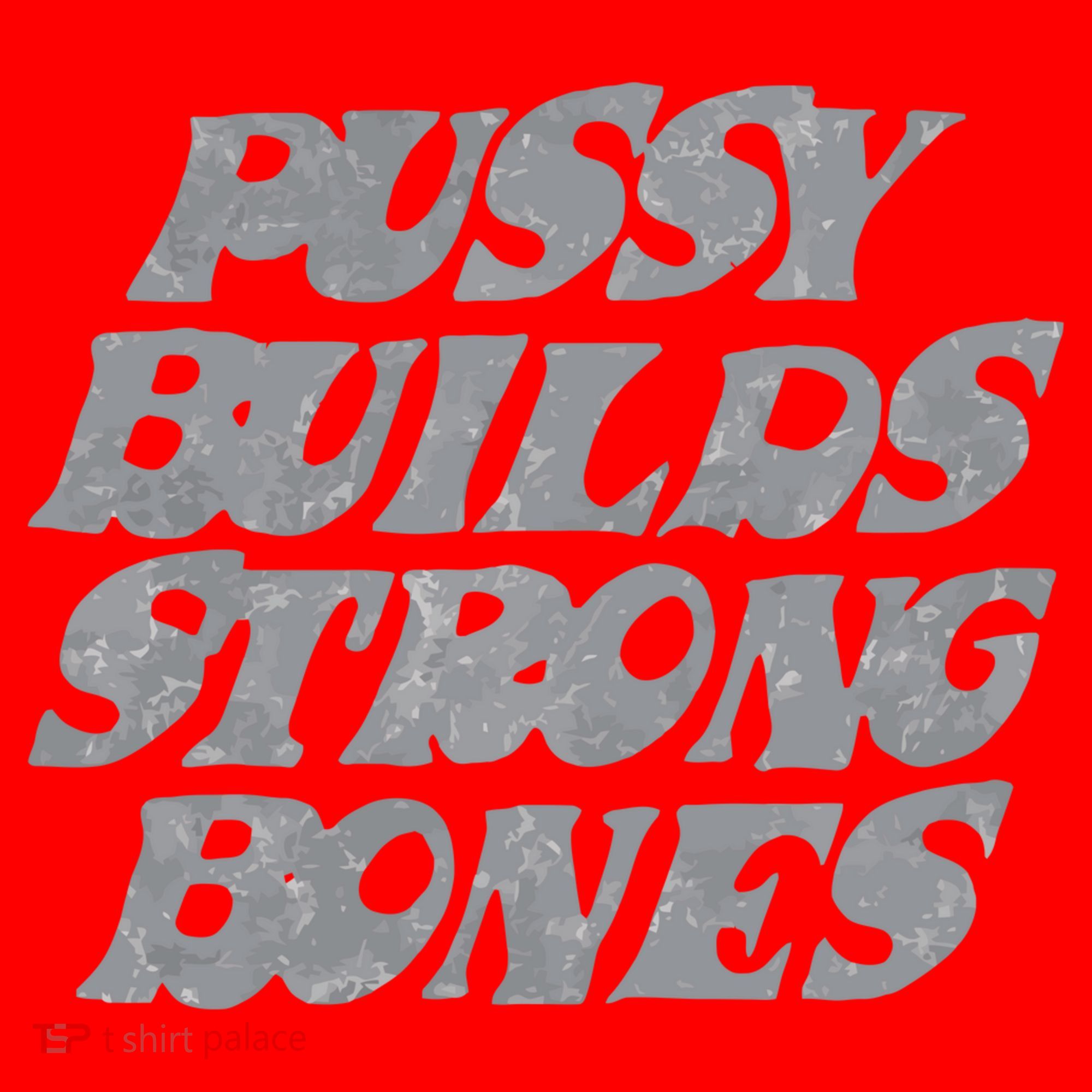 Pussy Builds Strong Bones Funny Meme Santa Hat