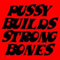 Pussy Builds Strong Bones Funny Meme Santa Hat thumb 1