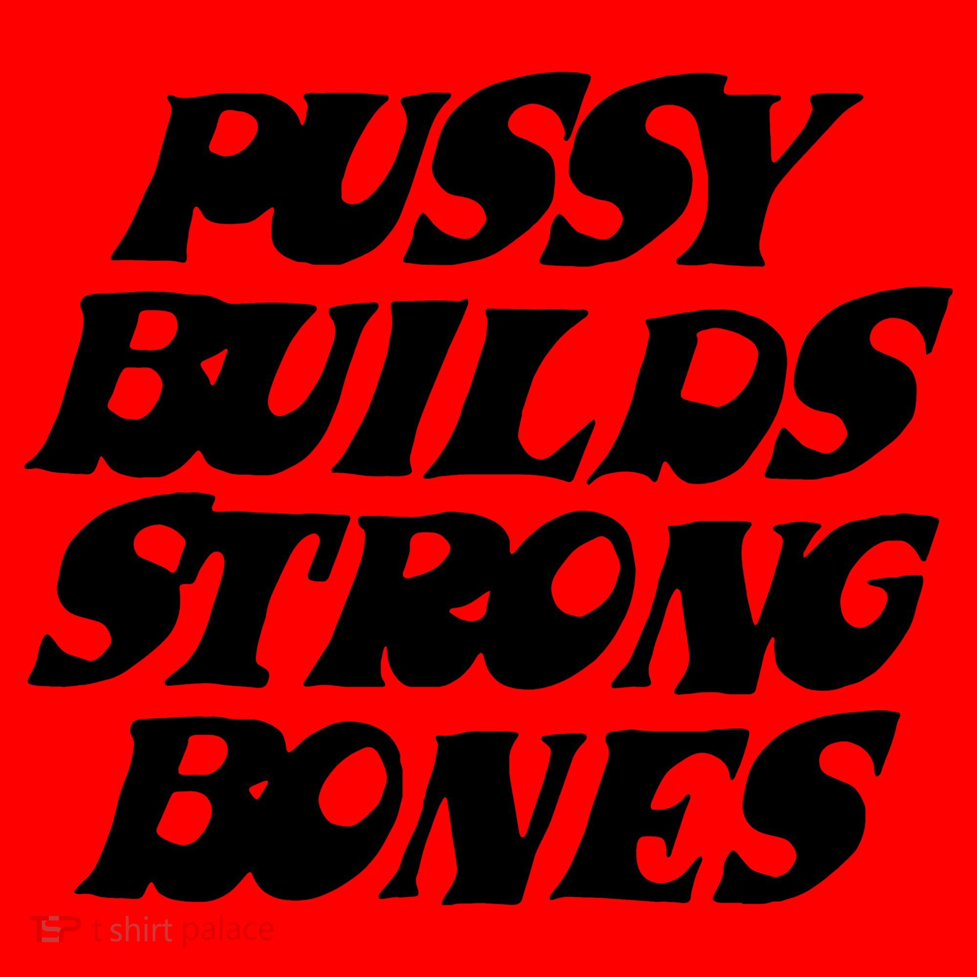 Pussy Builds Strong Bones Funny Meme Santa Hat