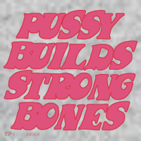 Pussy Builds Strong Bones The Baniff Cuffed Pom Beanie thumb 2