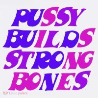 Pussy Builds Strong Bones Shirt PBSB Colored T-Shirt thumb 7