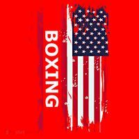 Patriotic Boxing Usa Flag Boxing Gift Black Small Santa Hat thumb 1