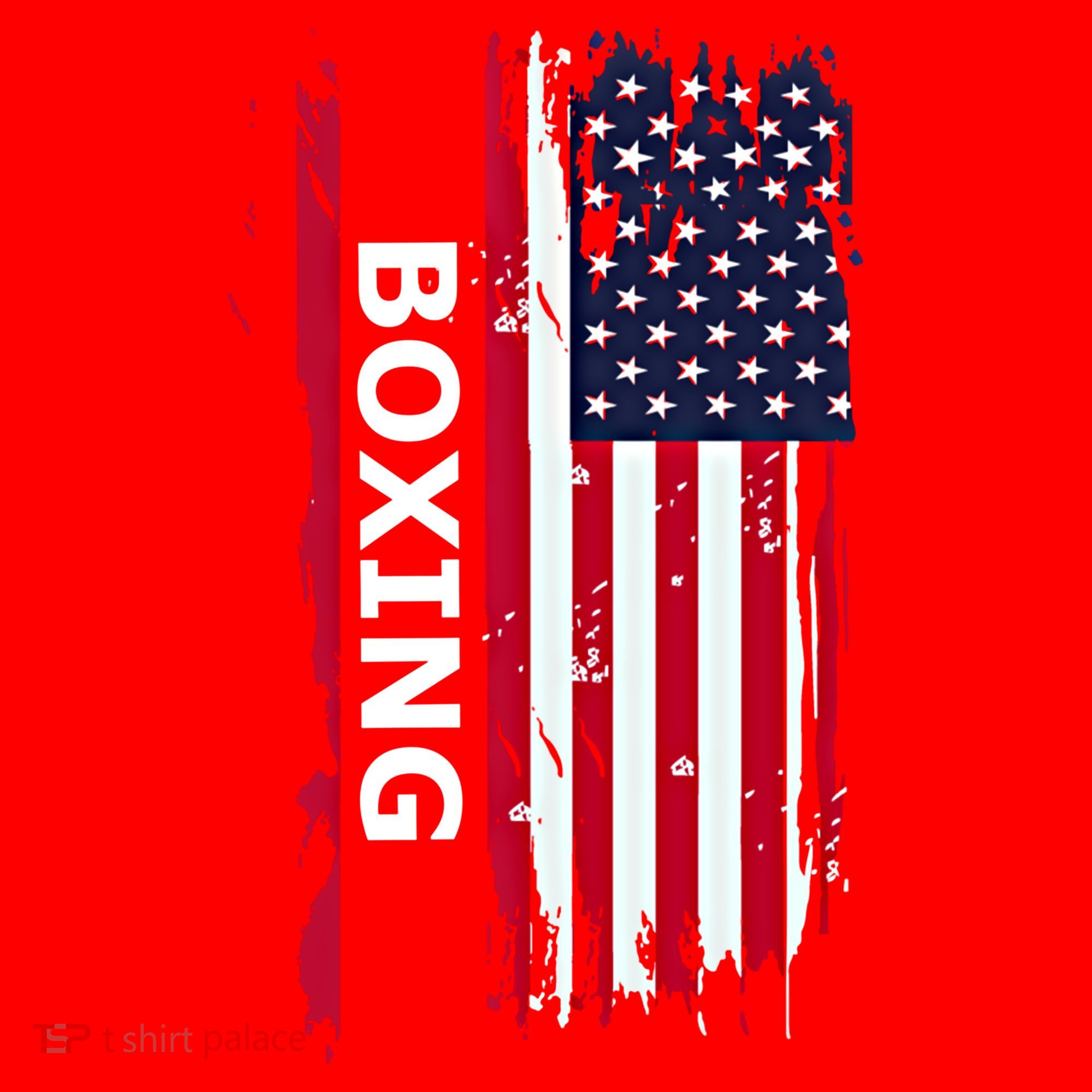 Patriotic Boxing Usa Flag Boxing Gift Black Small Santa Hat