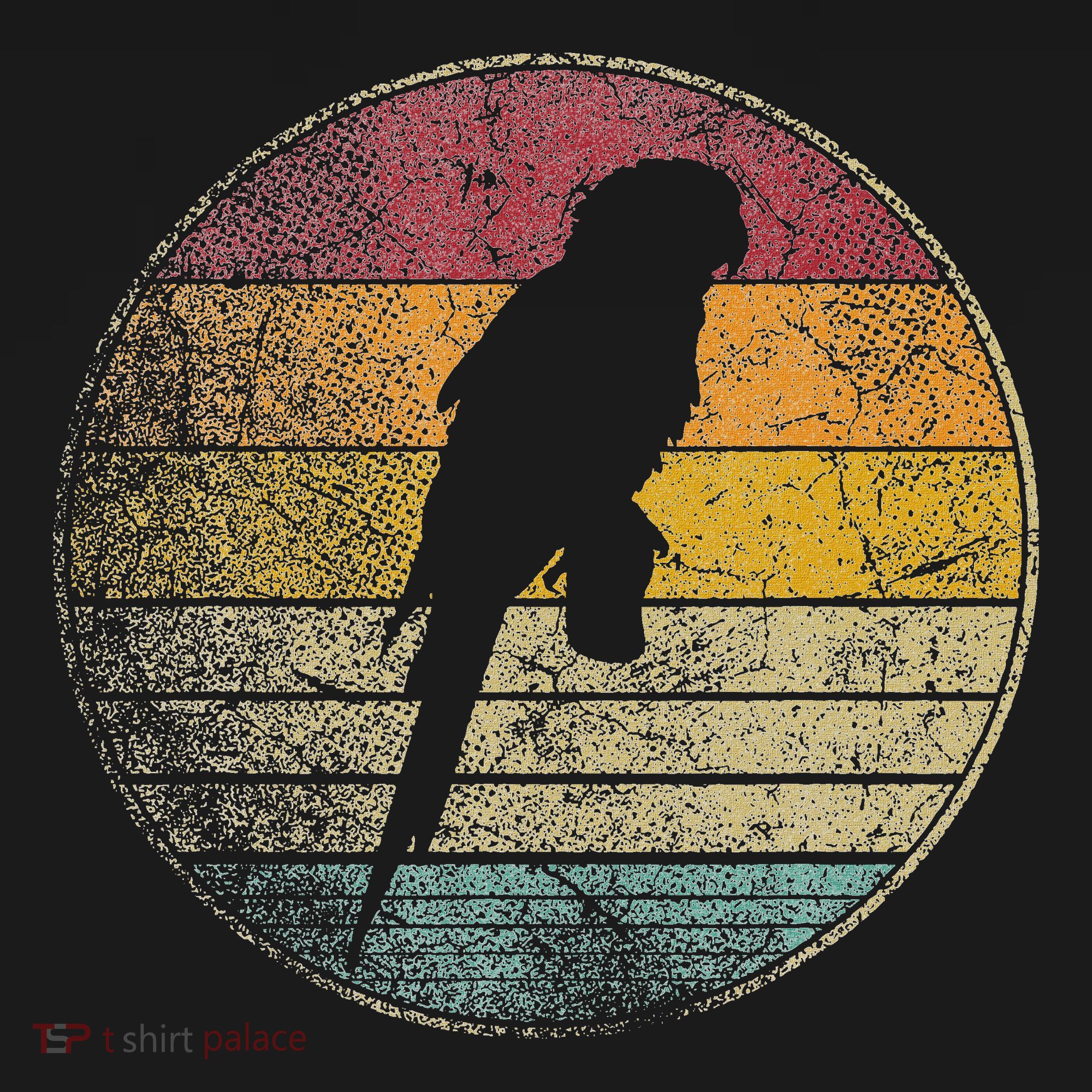 Parrot Bird Vintage Distressed Retro Style Silhouette 70s T-Shirt