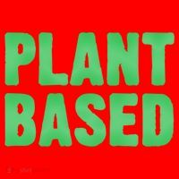 Plant Based Vegan Funny Vegetarian Saying Gift Cool Gift Santa Hat thumb 1
