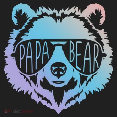 Papa Bear Vintage Graphic Gift 24oz Duet Stainless Steel Tumbler