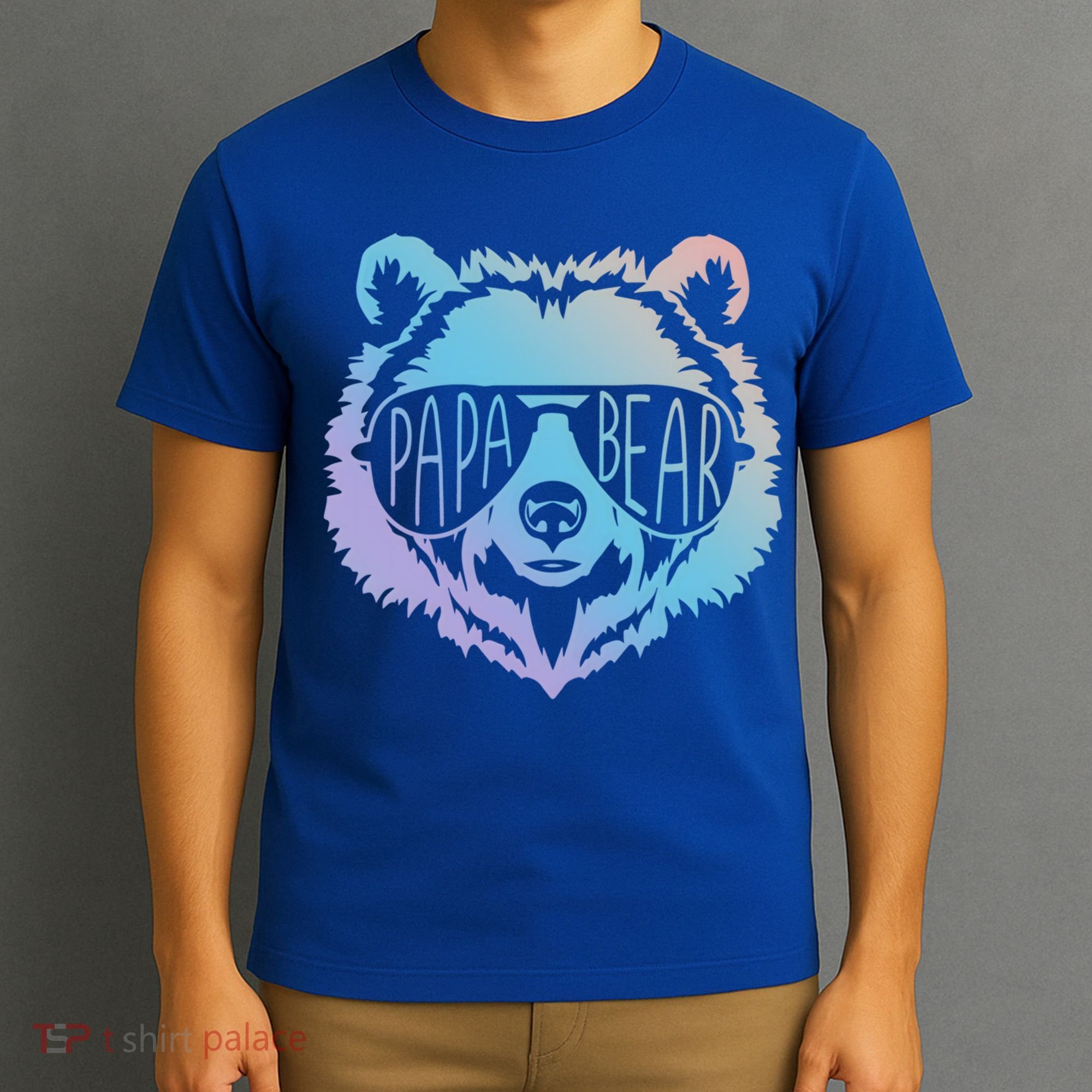 Papa Bear Vintage Graphic Gift T-Shirt