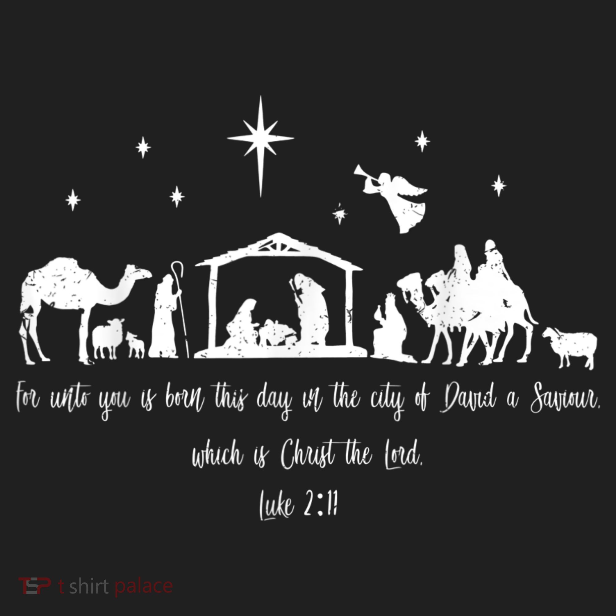 Ph Christian Bible Costume Christmas Nativity Luke Beanie