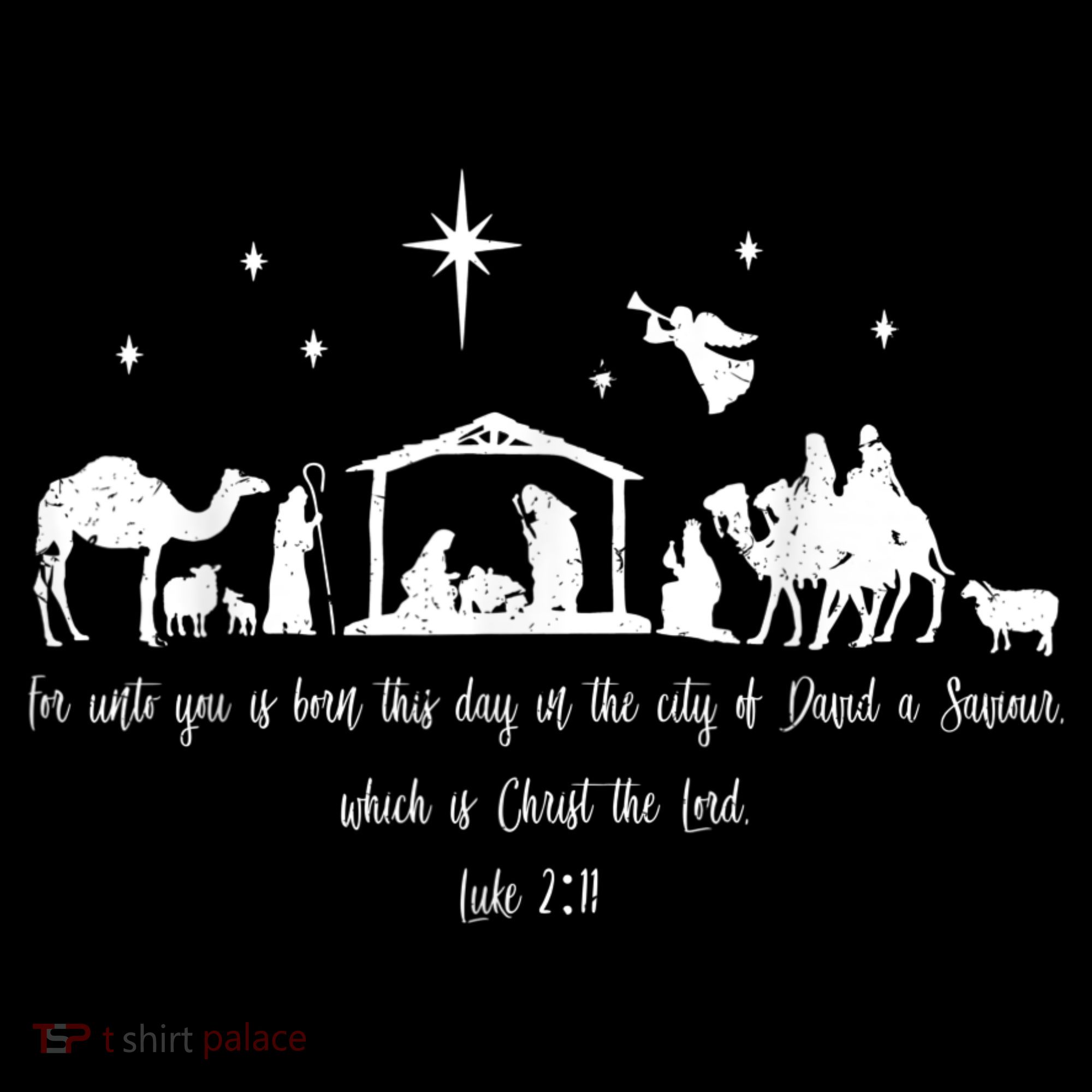 Ph Christian Bible Costume Christmas Nativity Luke Women's Hoodie