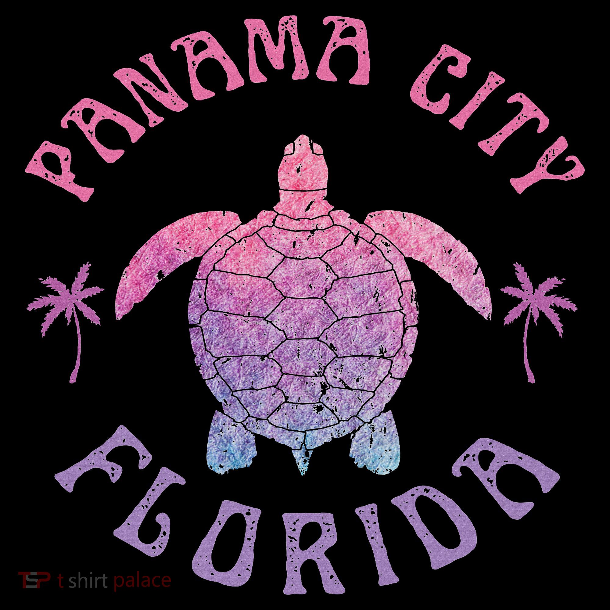 Panama City Beach Florida Sea Turtle Summer Vacation Sweatshirt
