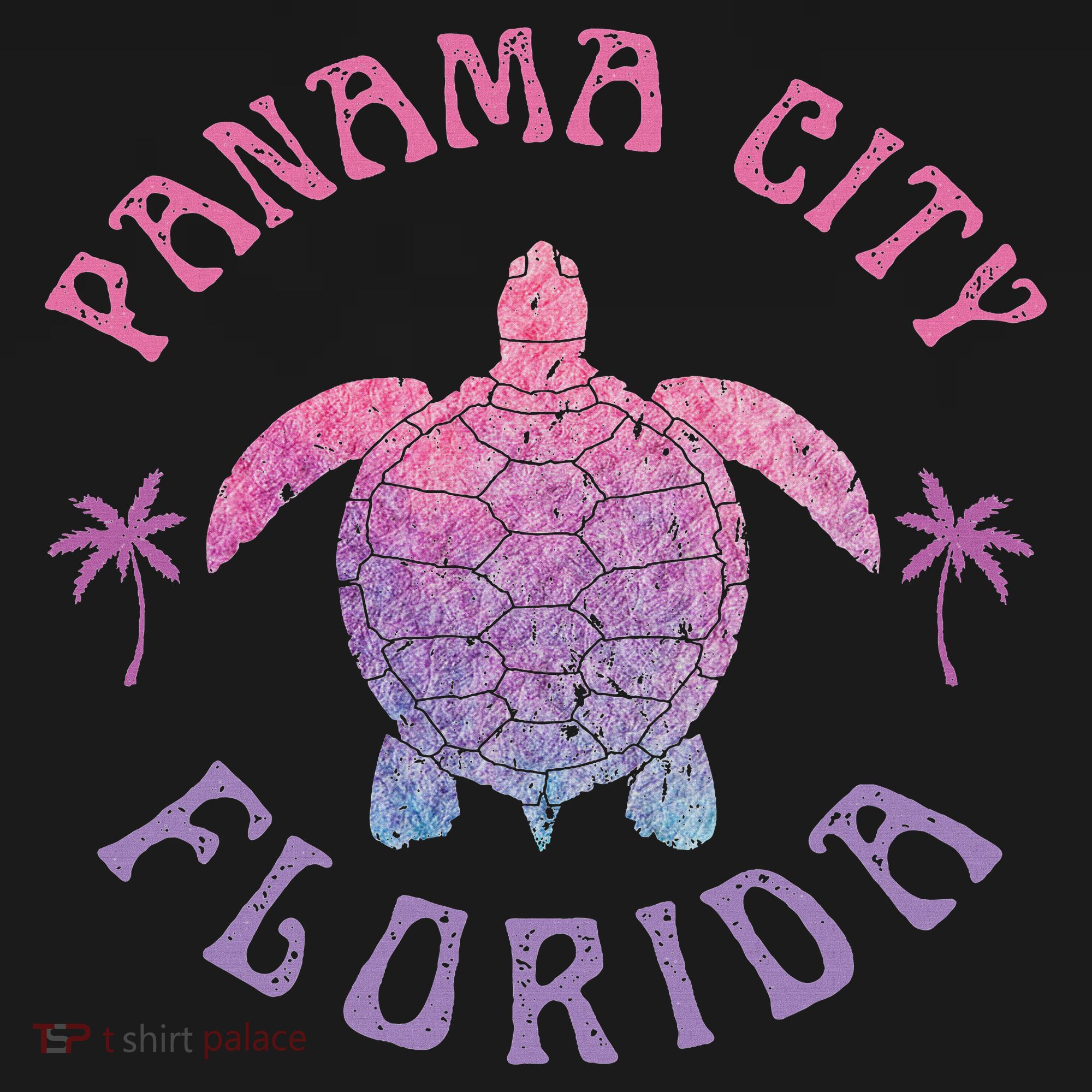 Panama City Beach Florida Sea Turtle Summer Vacation Tank Top