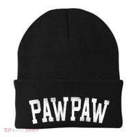 Pawpaw Classic Bold Font FatherS Day Pawpaw Raglan Baseball Beanie thumb 0