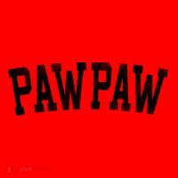 Pawpaw Classic Bold Font FatherS Day Pawpaw Raglan Baseball Santa Hat thumb 1