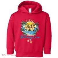 Punta Cana Birthday Crew Tropical Celebration Vibes Toddler Hoodie thumb 0