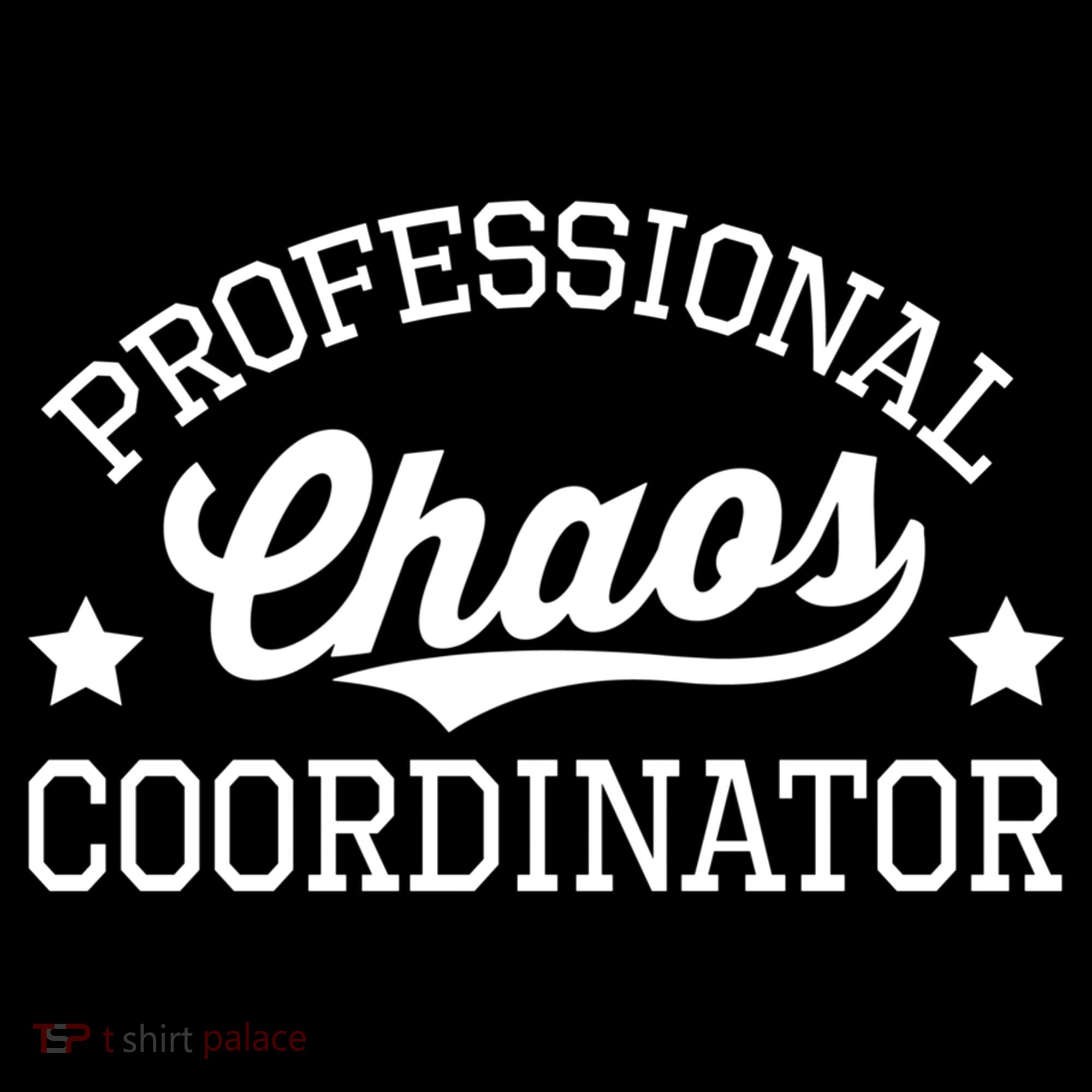 Professional Chaos Coordinator Funny Mom Teacher Gift Women's Hoodie