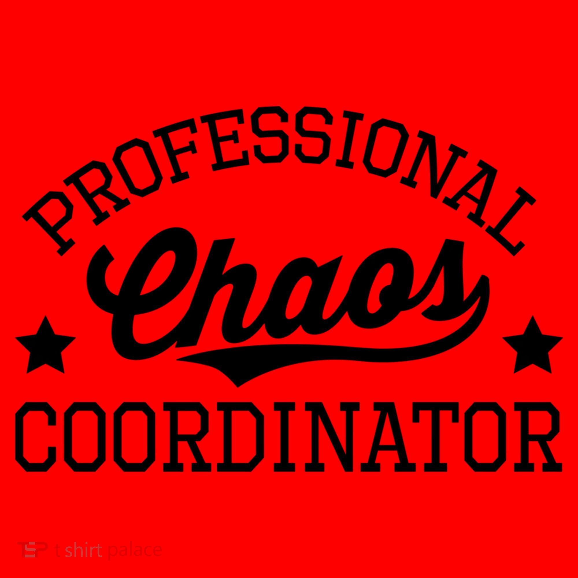 Professional Chaos Coordinator Funny Mom Teacher Gift Santa Hat