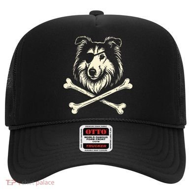 Pirate Collie Crossbones Dog Hat