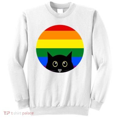 Peeking Cat Colorful Rainbow Sweatshirt