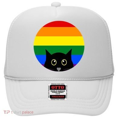 Peeking Cat Colorful Rainbow Hat