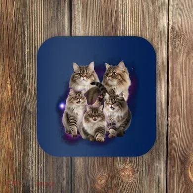 Coaster
