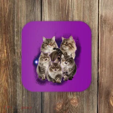 Coaster