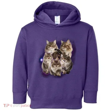 Toddler Hoodie