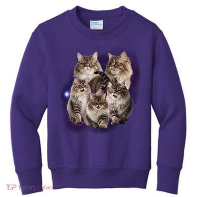 Persian Cats Collage Kids Sweatshirt