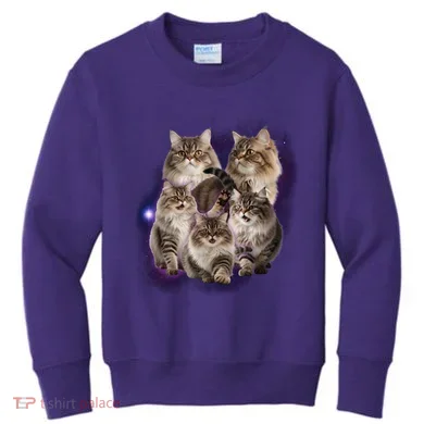 Kids Sweatshirt
