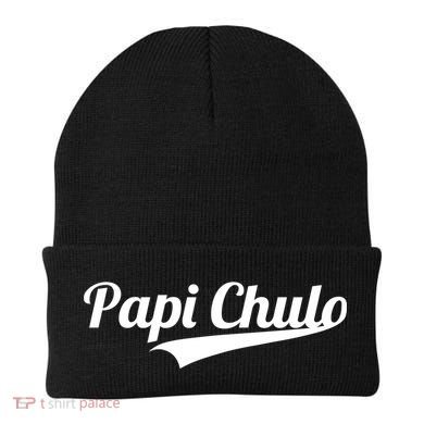 Papi Chulo Cool Daddy Fathers Day Gift Best Papa Gift Beanie