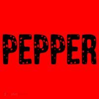 Pepper Costume Couple Salt And Pepper Costume Gift Santa Hat thumb 1