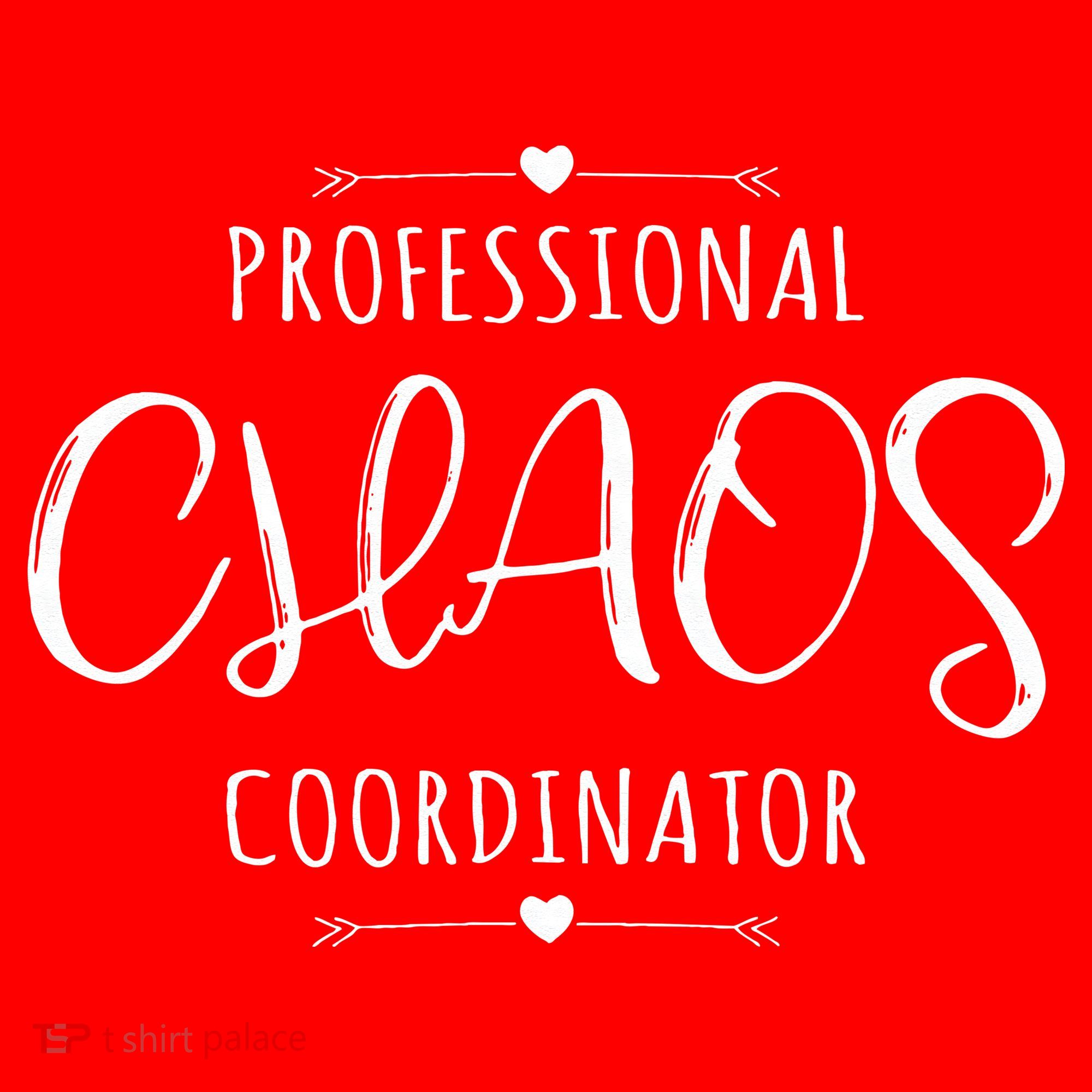 Professional Chaos Coordinator Funny Mom Mother's Day Santa Hat