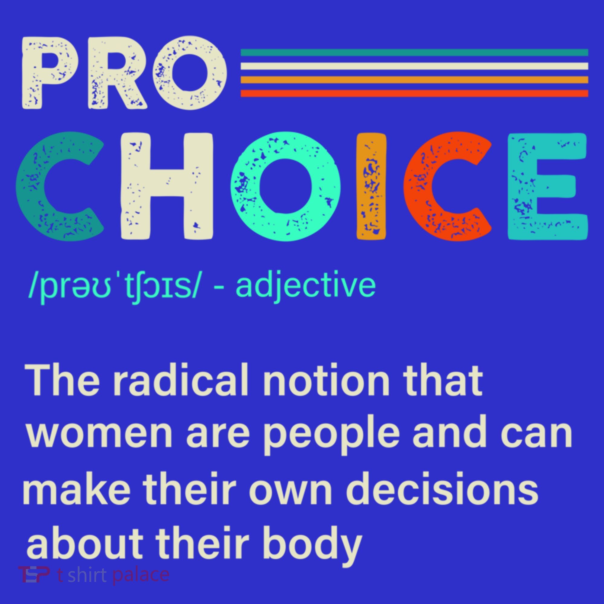 Pro Choice Definition Feminist Women's Rights Retro Vintage Gift T-Shirt
