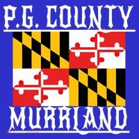 Pg County Dmv Moechella Don't Mute Dc Gogo Murrland Md Gift T-Shirt thumb 7