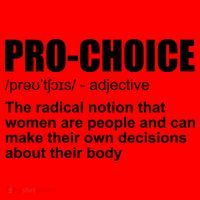 Pro Choice Definition Santa Hat thumb 1