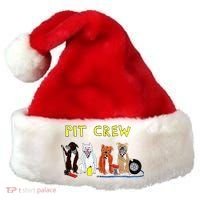 Pit Crew Dogs Funny For Women Santa Hat thumb 0