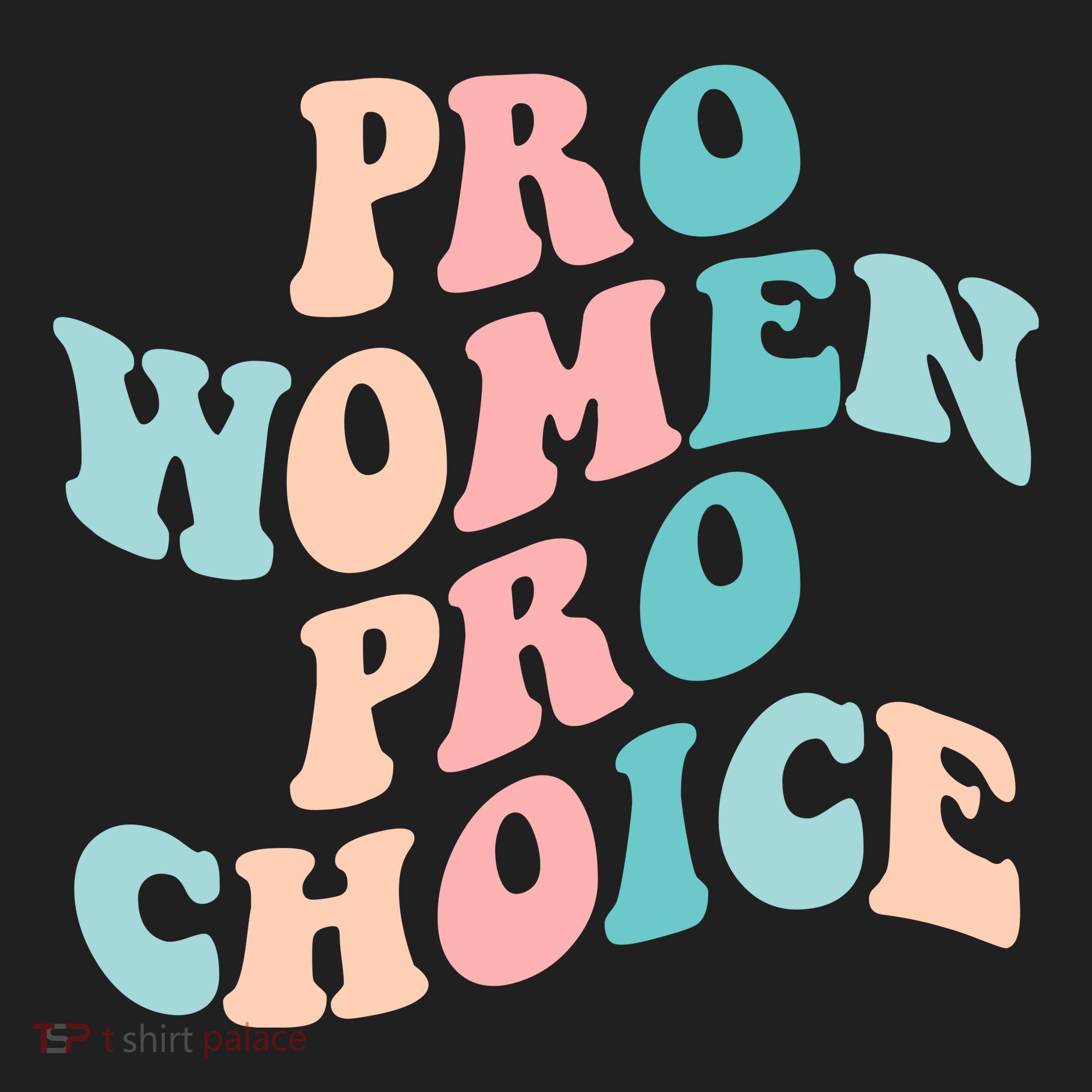 Pro Choice Equal Rights Feminist Retro Beanie