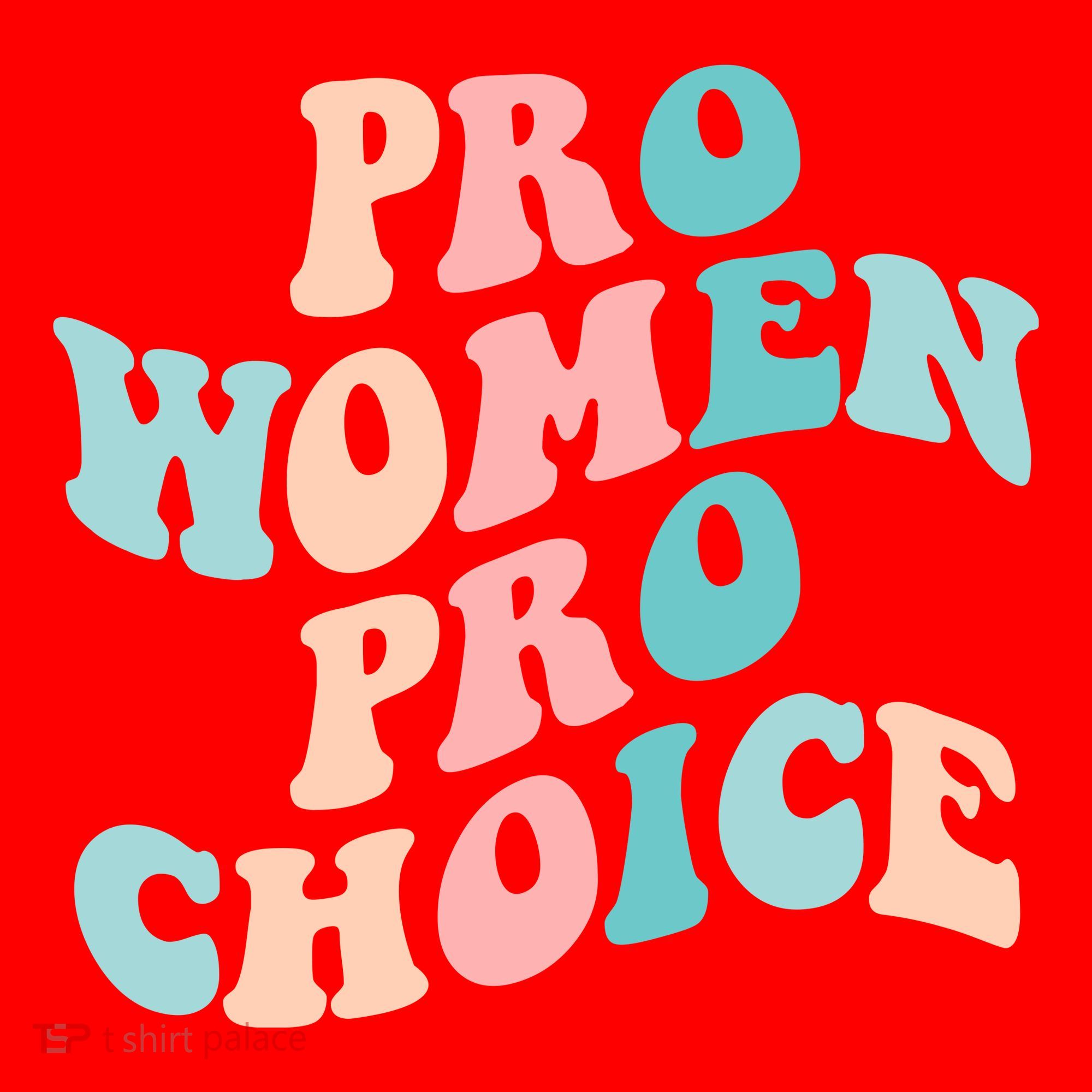 Pro Choice Equal Rights Feminist Retro Santa Hat